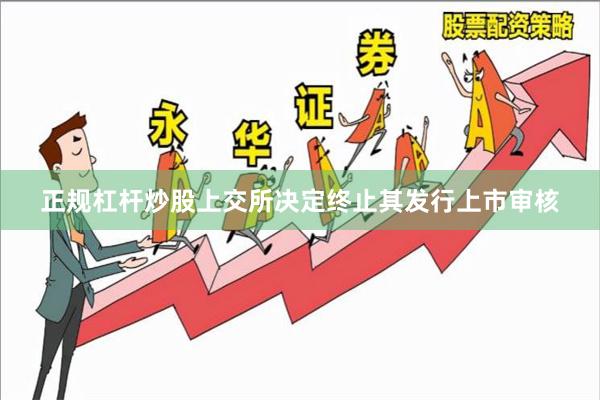正规杠杆炒股上交所决定终止其发行上市审核
