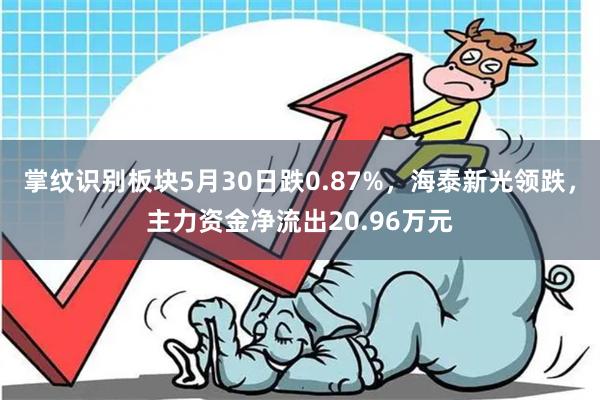 掌纹识别板块5月30日跌0.87%，海泰新光领跌，主力资金净流出20.96万元