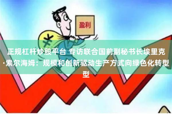 正规杠杆炒股平台 专访联合国前副秘书长埃里克·索尔海姆：规模和创新驱动生产方式向绿色化转型