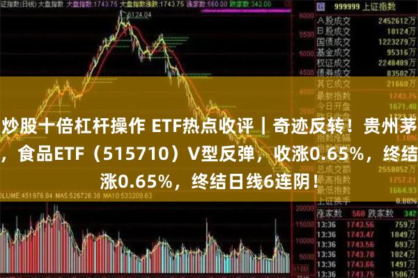 炒股十倍杠杆操作 ETF热点收评｜奇迹反转！贵州茅台探底回升，食品ETF（515710）V型反弹，收涨0.65%，终结日线6连阴！