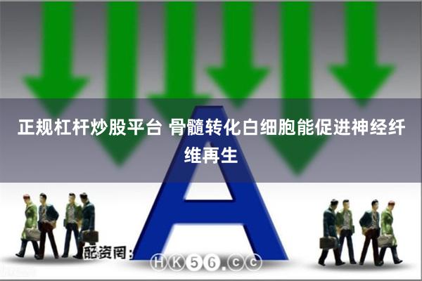 正规杠杆炒股平台 骨髓转化白细胞能促进神经纤维再生