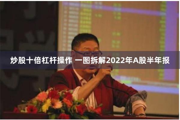 炒股十倍杠杆操作 一图拆解2022年A股半年报