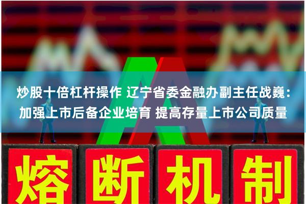 炒股十倍杠杆操作 辽宁省委金融办副主任战巍：加强上市后备企业培育 提高存量上市公司质量